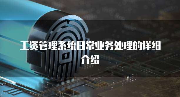 工资管理系统日常业务处理的详细介绍