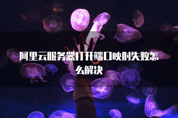 阿里云服务器打开端口映射失败怎么解决