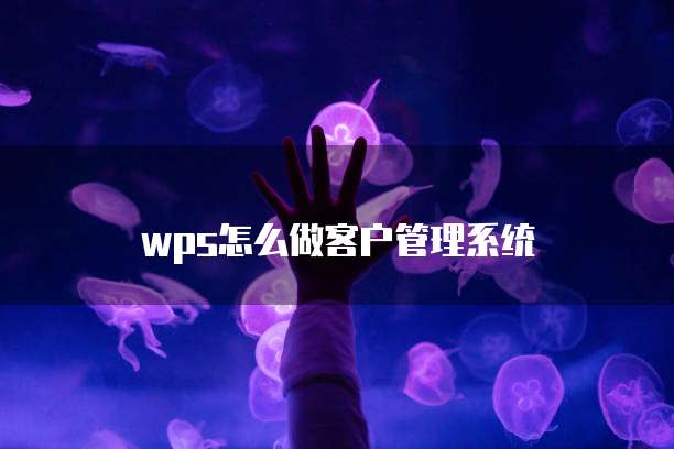 wps怎么做客户管理系统