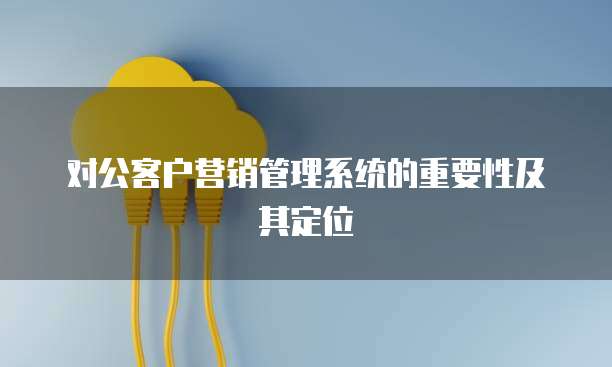 对公客户营销管理系统的重要性及其定位