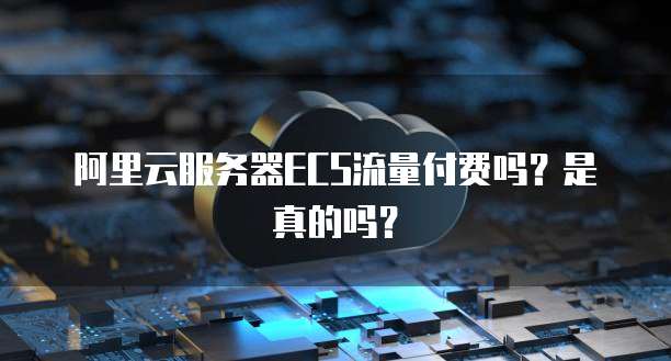 阿里云服务器ECS流量付费吗？是真的吗？