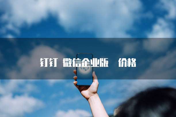 钉钉 微信企业版  价格