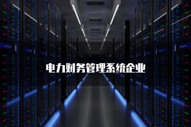 电力财务管理系统企业