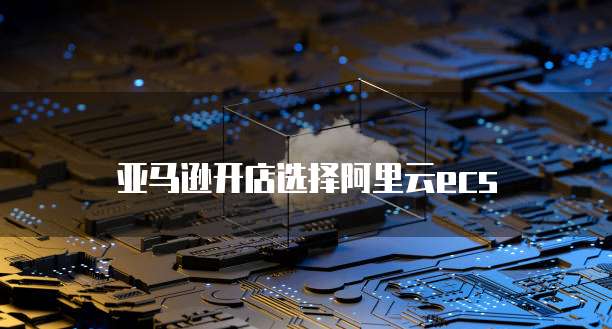 亚马逊开店选择阿里云ecs