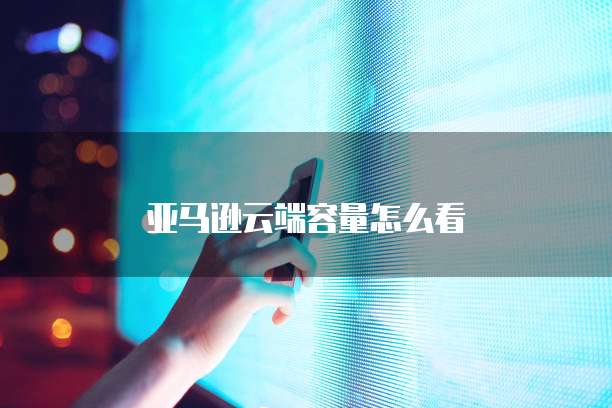 亚马逊云端容量怎么看