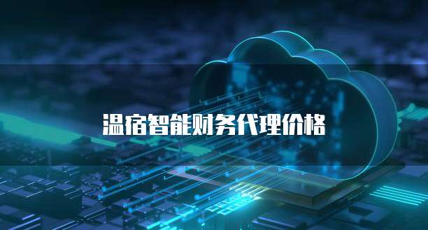 温宿智能财务代理价格
