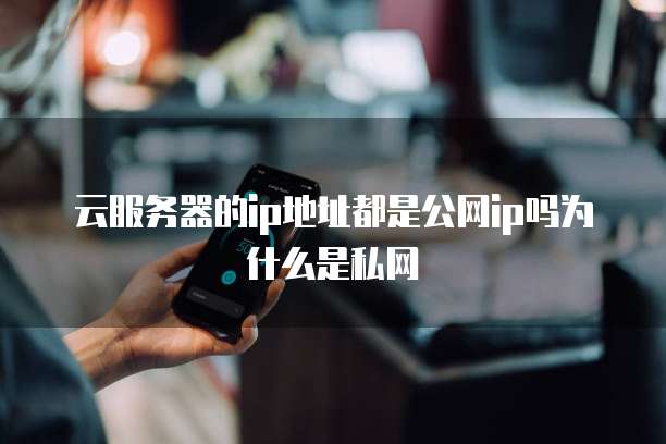 云服务器的ip地址都是公网ip吗为什么是私网