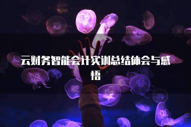 云财务智能会计实训总结体会与感悟