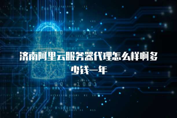 济南阿里云服务器代理怎么样啊多少钱一年