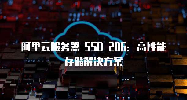 阿里云服务器 SSD 20G：高性能存储解决方案