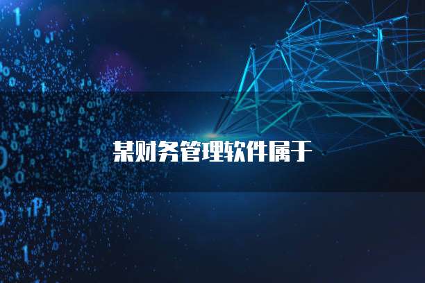 某财务管理软件属于