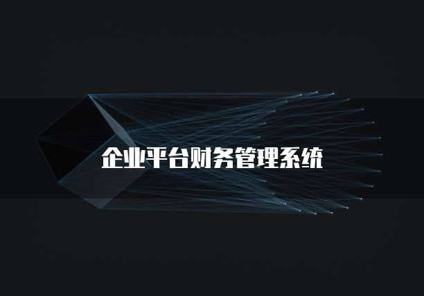 企业平台财务管理系统