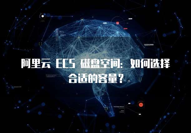 阿里云 ECS 磁盘空间：如何选择合适的容量？