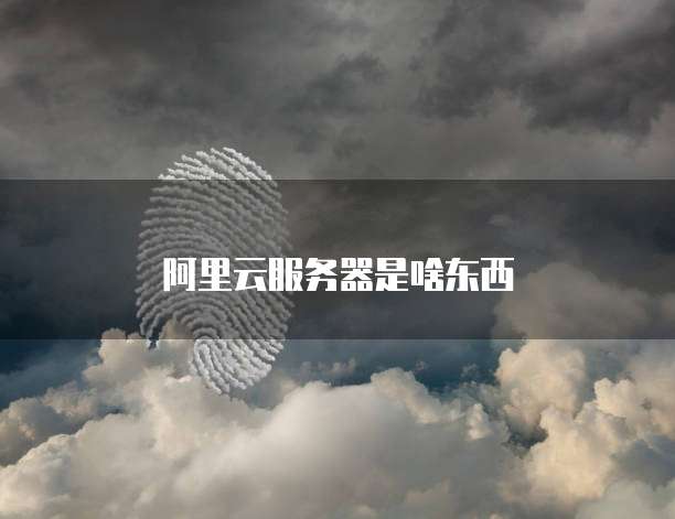阿里云服务器是啥东西