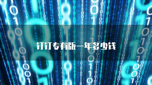 钉钉专有版一年多少钱