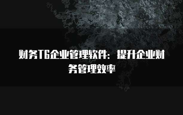 财务T6企业管理软件：提升企业财务管理效率