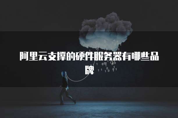 阿里云支撑的硬件服务器有哪些品牌