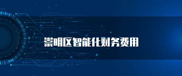 崇明区智能化财务费用