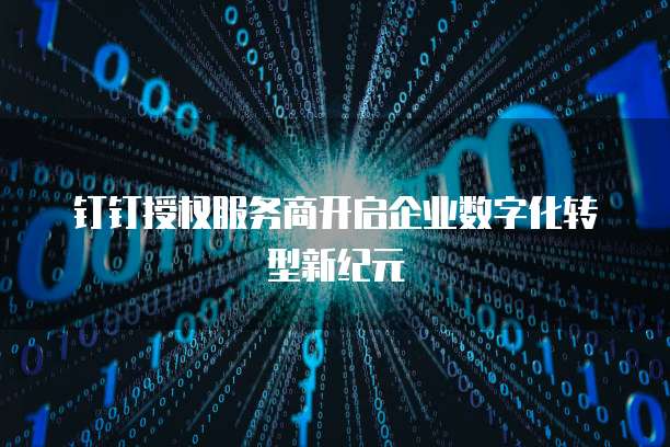 钉钉授权服务商开启企业数字化转型新纪元