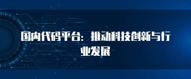 国内代码平台：推动科技创新与行业发展
