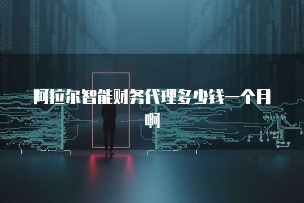 阿拉尔智能财务代理多少钱一个月啊