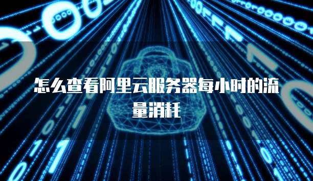 怎么查看阿里云服务器每小时的流量消耗
