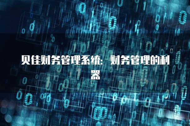 贝佳财务管理系统：财务管理的利器