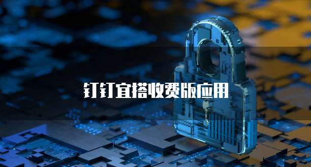 钉钉宜搭收费版应用