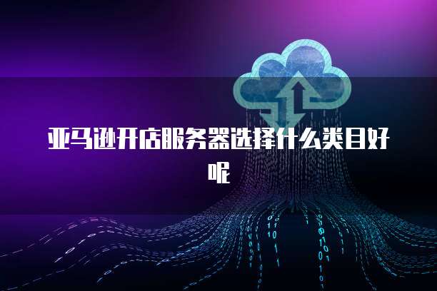亚马逊开店服务器选择什么类目好呢
