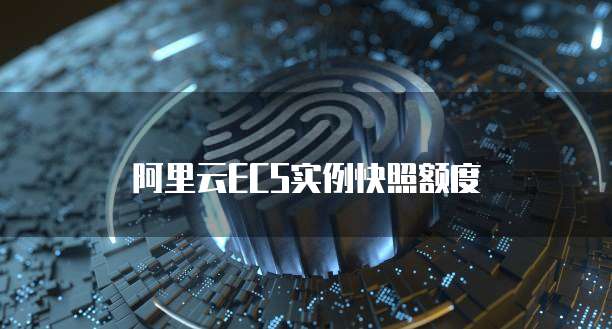 阿里云ECS实例快照额度