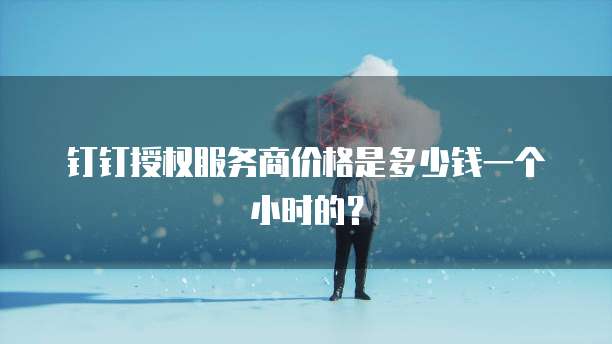 钉钉授权服务商价格是多少钱一个小时的？
