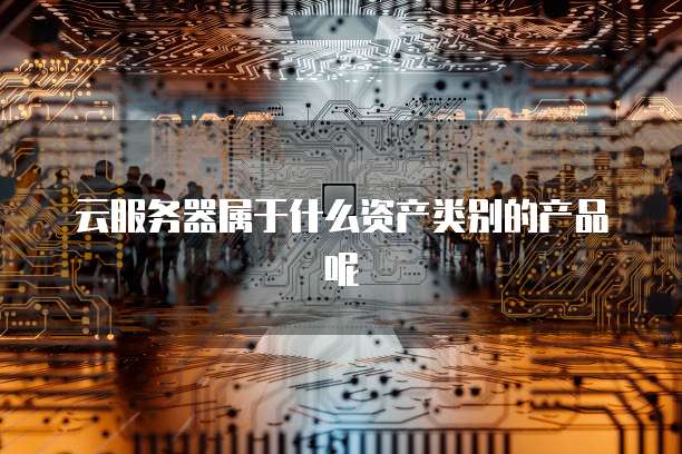 云服务器属于什么资产类别的产品呢