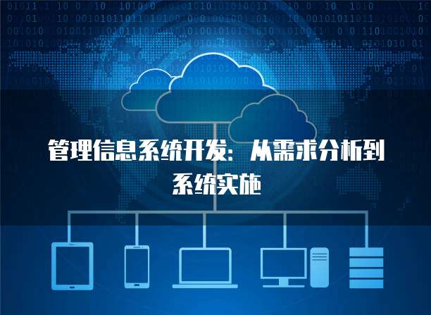 管理信息系统开发：从需求分析到系统实施
