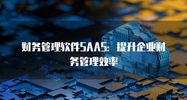 财务管理软件SAAS：提升企业财务管理效率