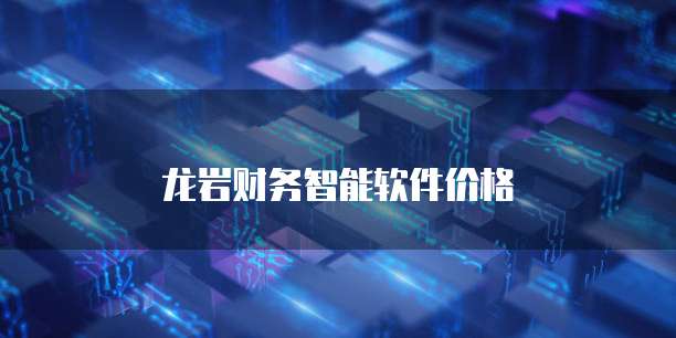 龙岩财务智能软件价格