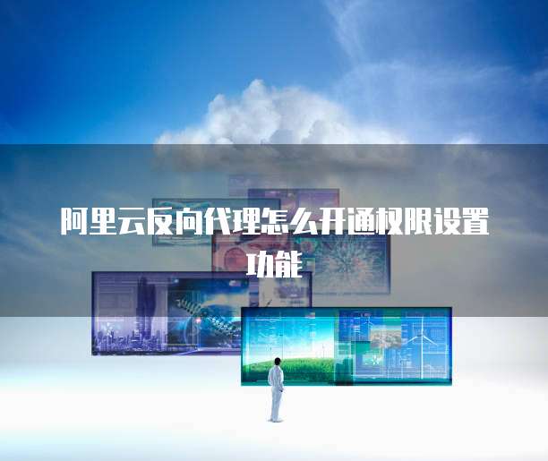 阿里云反向代理怎么开通权限设置功能