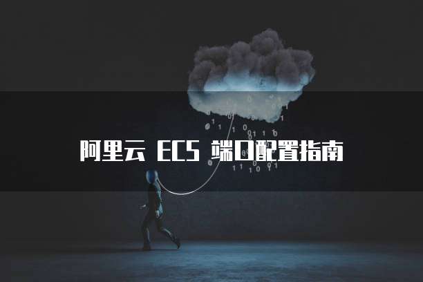 阿里云 ECS 端口配置指南