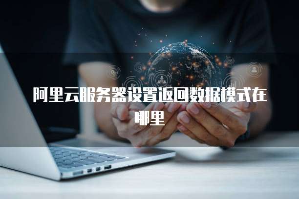 阿里云服务器设置返回数据模式在哪里