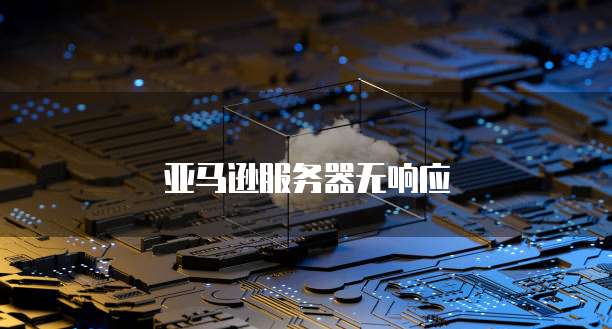 亚马逊服务器无响应