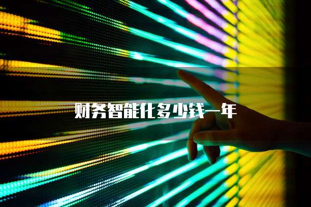 财务智能化多少钱一年