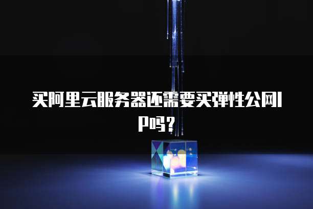 买阿里云服务器还需要买弹性公网IP吗？