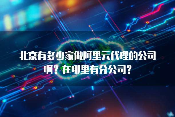 北京有多少家做阿里云代理的公司啊？在哪里有分公司？