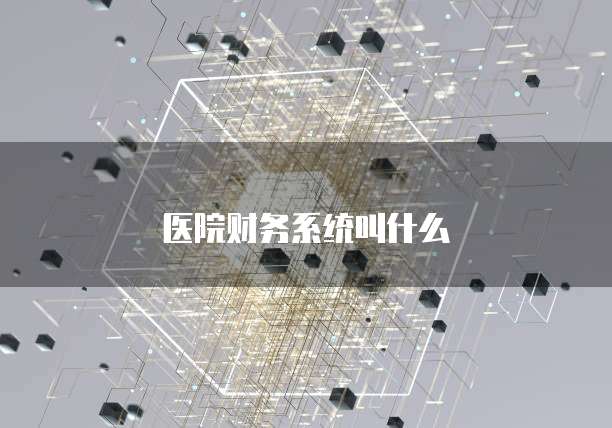 医院财务系统叫什么