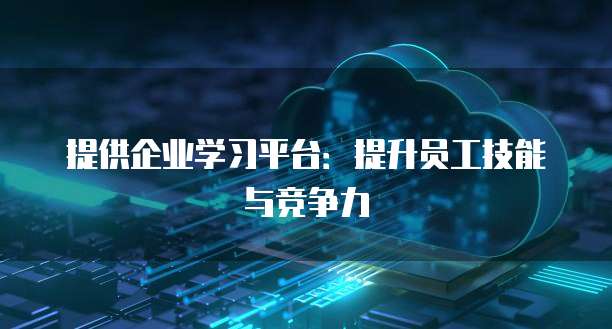 提供企业学习平台：提升员工技能与竞争力