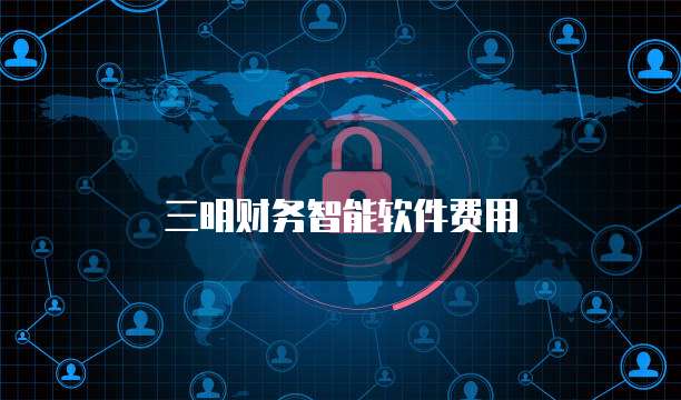 三明财务智能软件费用