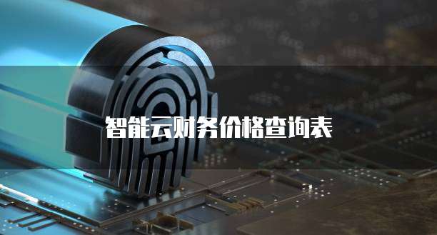 智能云财务价格查询表