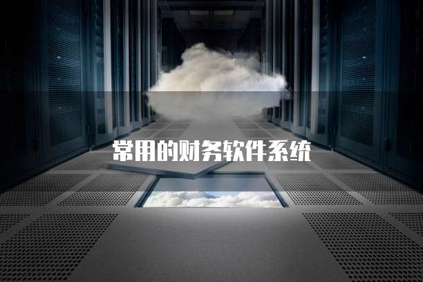 常用的财务软件系统