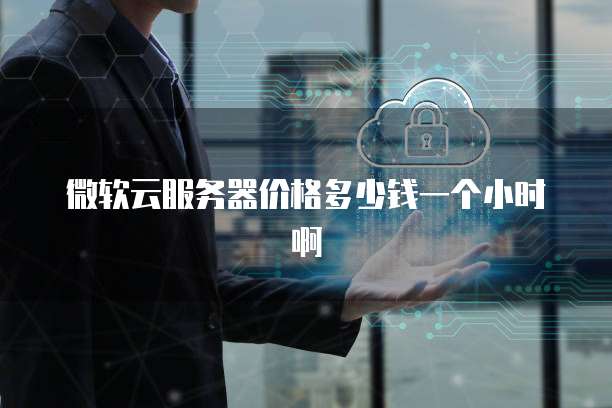 微软云服务器价格多少钱一个小时啊