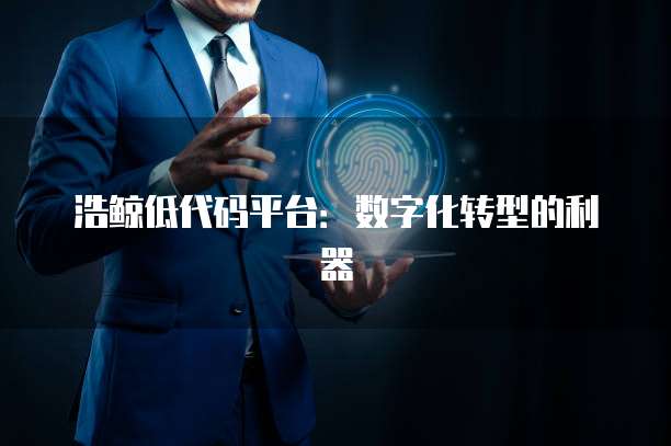 浩鲸低代码平台：数字化转型的利器