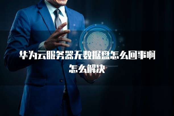 华为云服务器无数据盘怎么回事啊怎么解决